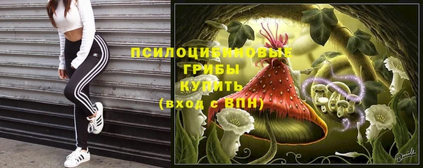 ALPHA-PVP Няндома