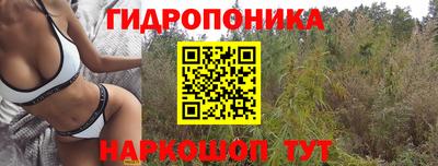 соль ск Пугачёв