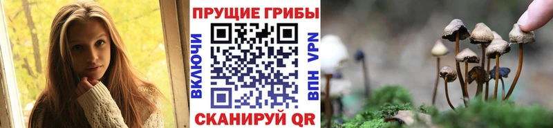 где найти наркотики  Чусовой  Псилоцибиновые грибы прущие грибы 