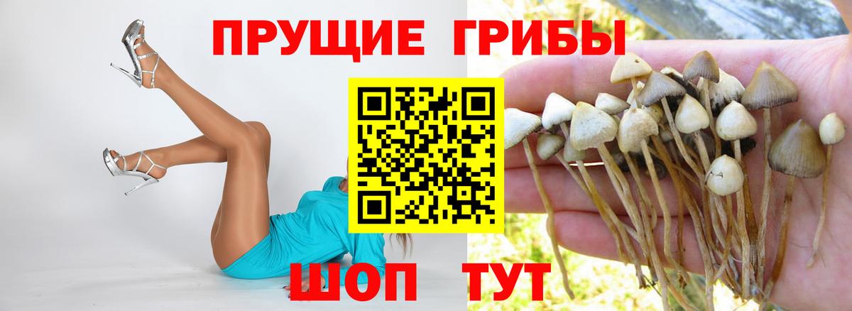 Чусовой  Псилоцибиновые грибы GOLDEN TEACHER  Галлюциногенные грибы прущие грибы  Вход с VPN 